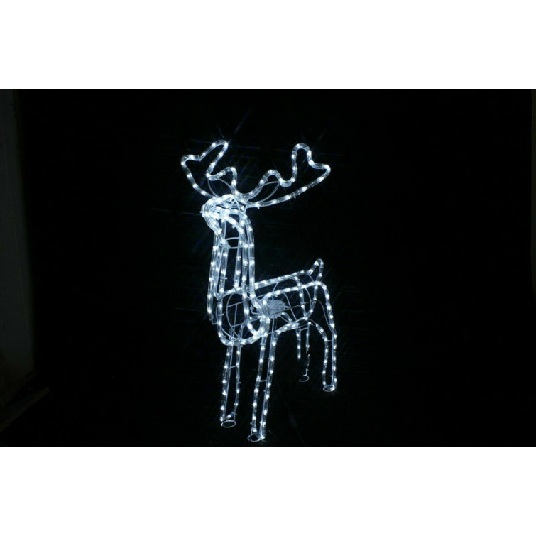The Seasonal Aisle Standing Reindeer Lighted Display Wayfair.ie